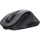Fidati del mouse wireless Fyda