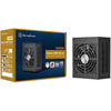 Alimentatore modulare Silverstone extreme 1000rz platino da 1000 watt (nero, 1x 12v-2x6, 4x pcie)