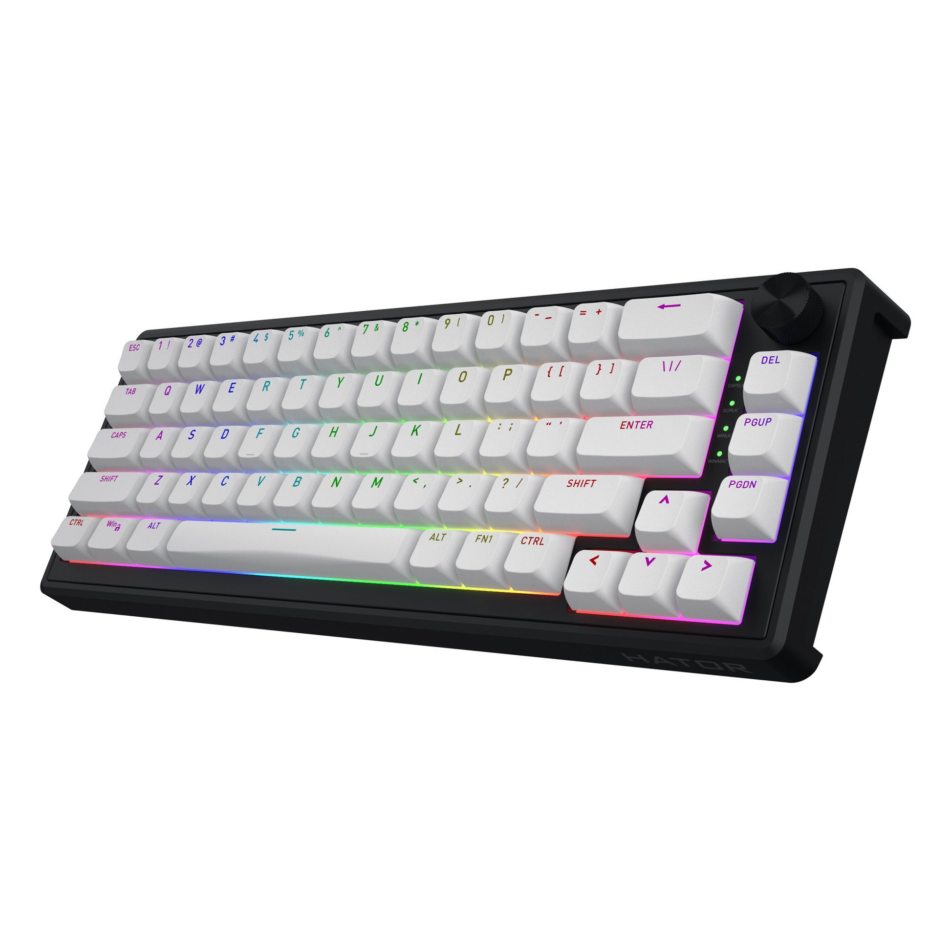 Hator skyfall mag ultra 8k rgb mechanisch gaming toetsenbord (zwart, us lay-out (qwerty), hator aurum ice, 65%, rgb, double-shot pbt, hot-swap)