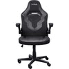 Confiar en la silla de juego GXT 703 Riye