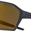 Alpina ram q-lite - gafas deportivas