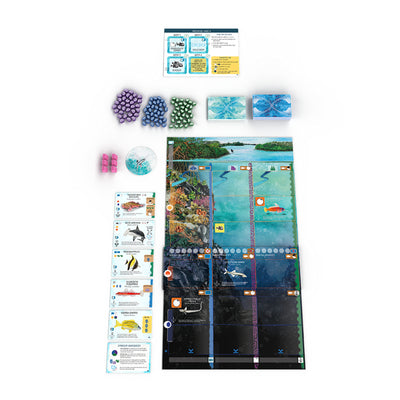 999games 999 games finspan expansion: sharks and reefs board game