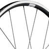 Ruota anteriore DT Swiss PR 1400 dicut 21mm