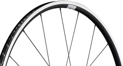 Ruota anteriore DT Swiss PR 1400 dicut 21mm