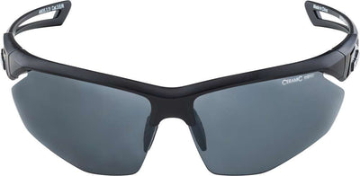 Alpina nylos hr - sports glasses