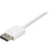 Sharkoon DisplayPort 1.2> DVI24+1