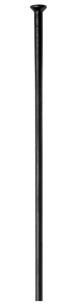 Raggi DT Swiss Champion® Straightpull 2.0 (100 pezzi)