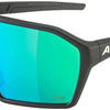 Alpina ram q-lite - gafas deportivas