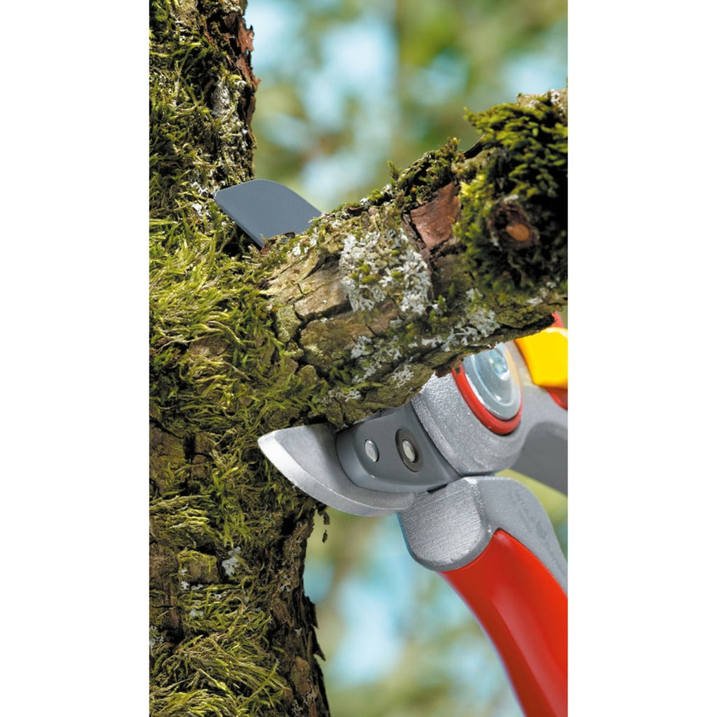 Wolf-Garten Rs 5000 Punting Shears Professional