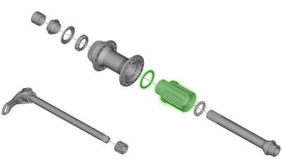 Shimano Cassettebody XT 8 9 10 11V M8010 Y38V98010