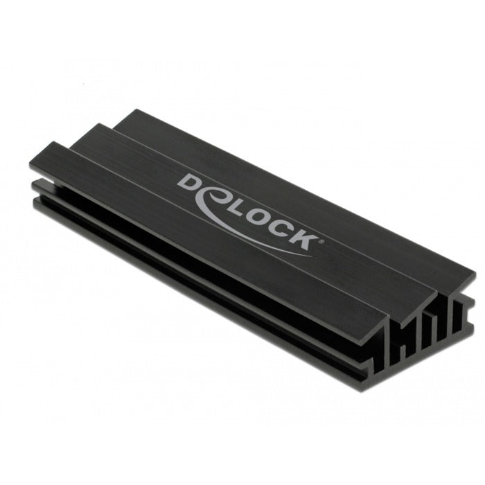 DELOCK CHEATSINK 70 mm per il modulo M.2