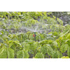 Gardena Sparister 360 °