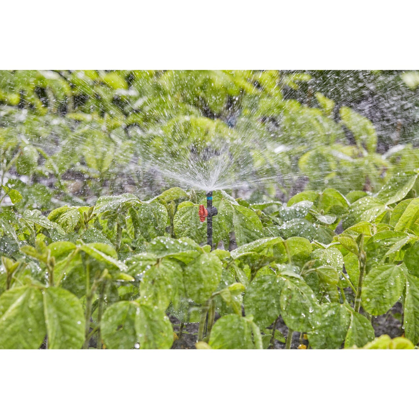 Gardena Sparister 360 °