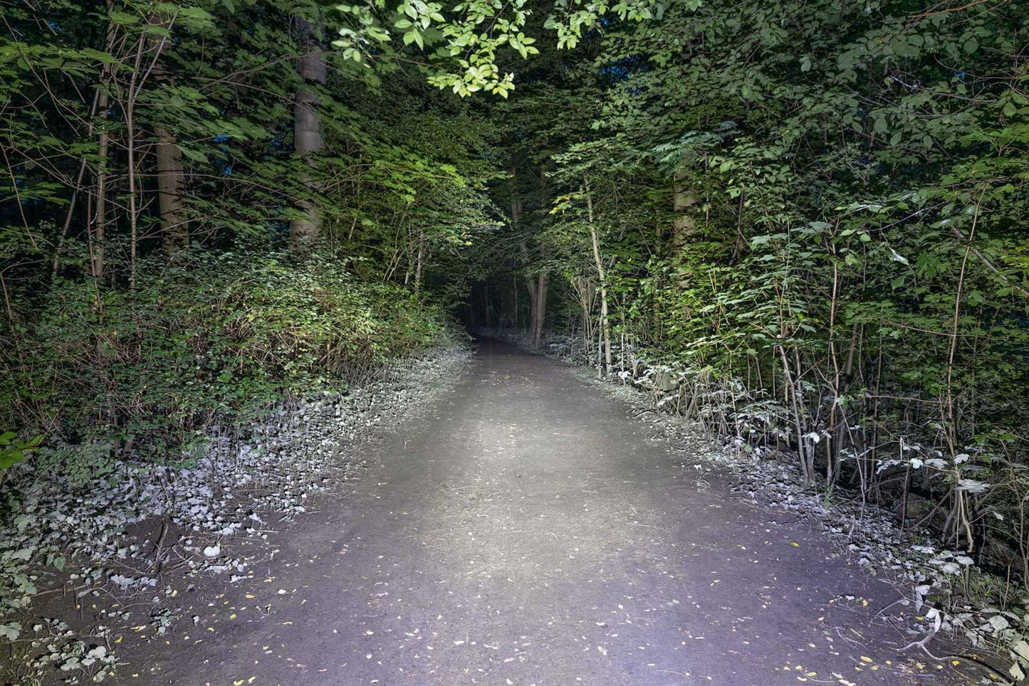 Sigma koplamp Buster 1100 LED helmhouder -Li-ion accu USB