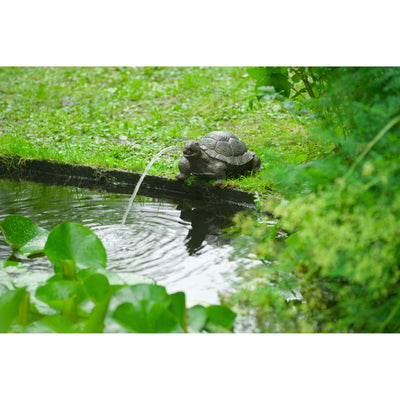 Ubbink Ubbink spray figura tortuga
