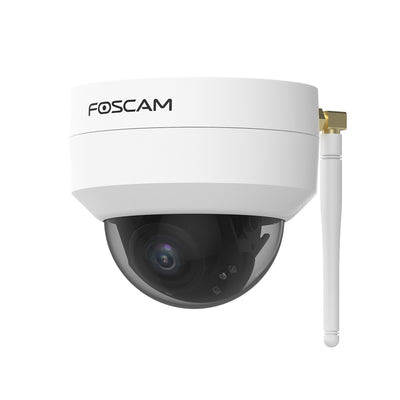 Foscam d4z dual banda wifi ptz
