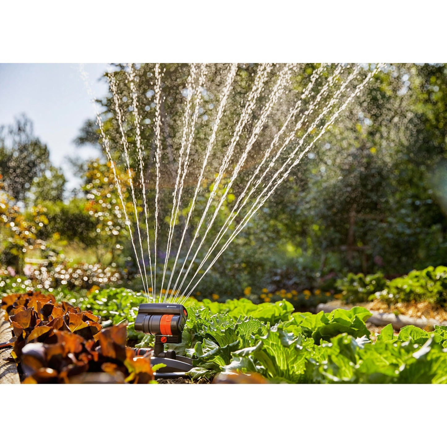 Garden Sprayer Sprayer Aquazoom Compact