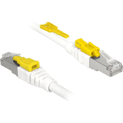 Delock Patch Cable RJ-45 seguro con Cat.6a