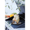 Porta di pollo Barbecook