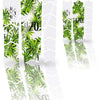 Unleazhed unscratch - película protectora de marco color budz