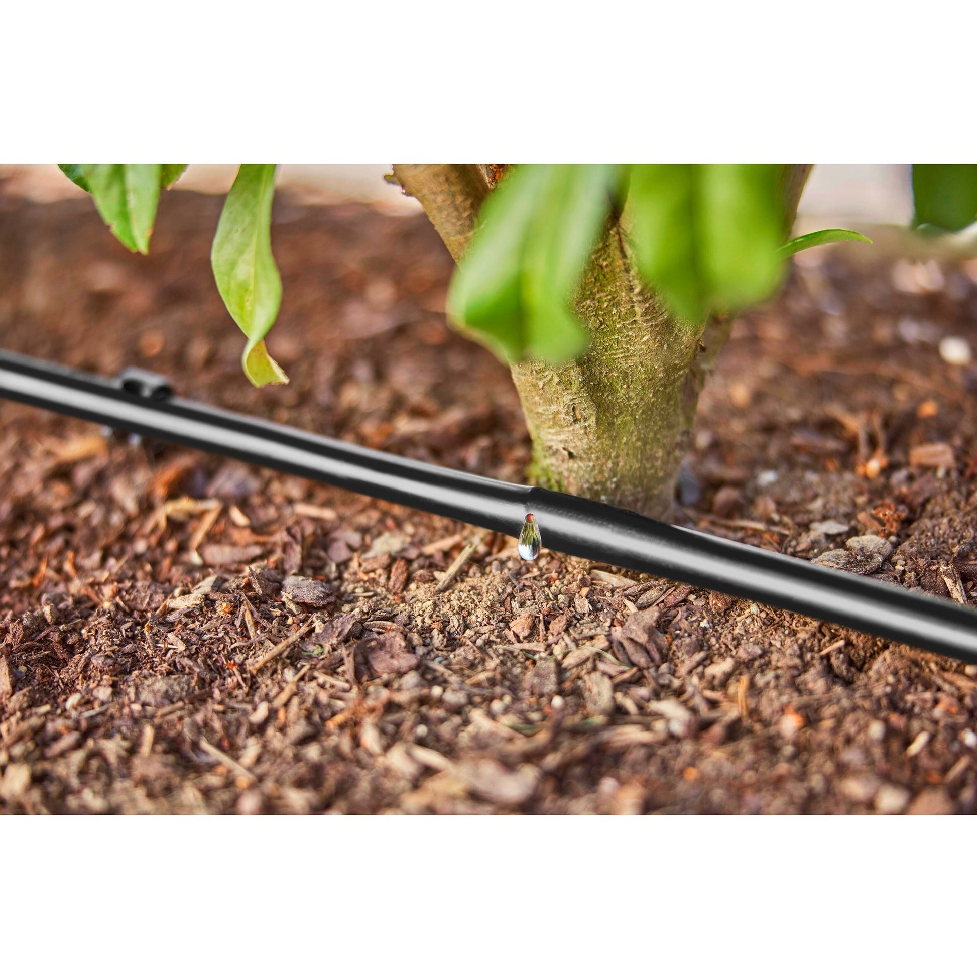 Tubo de caída de gardena para setos de arbustos (50 m)