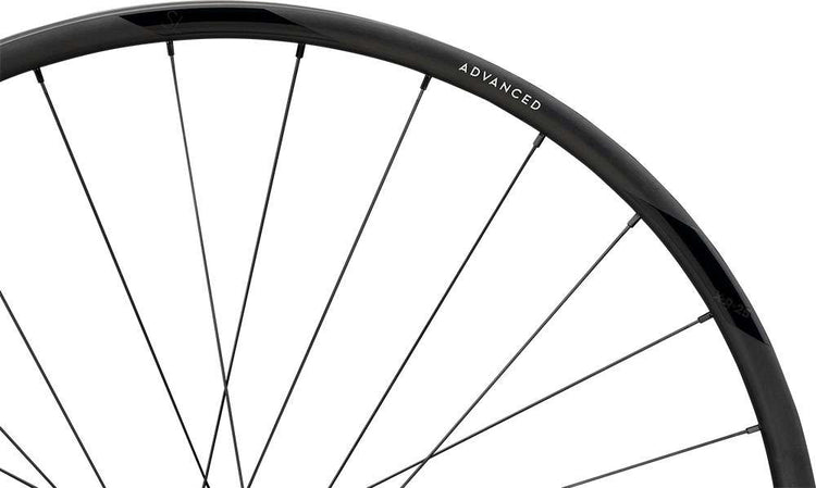 Newmen advanced sl x.r.25 cl fade rear wheel