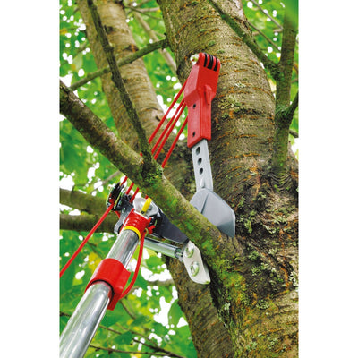 Tree múltiple de lobo marco de estrellas Schaar Vario RC-VM