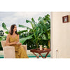 Aqara Wall Outlet H2 Eu