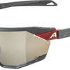 Alpina twist six q - gafas deportivas