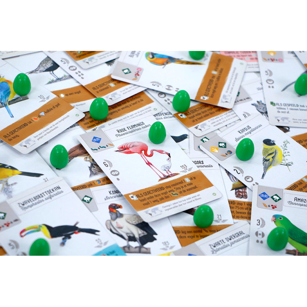 999games 999 giochi Wingspan: gioco da tavolo centro e sud america (espansione, olandese, 1 - 5 giocatori, 40 - 70 minuti, da 10 anni)