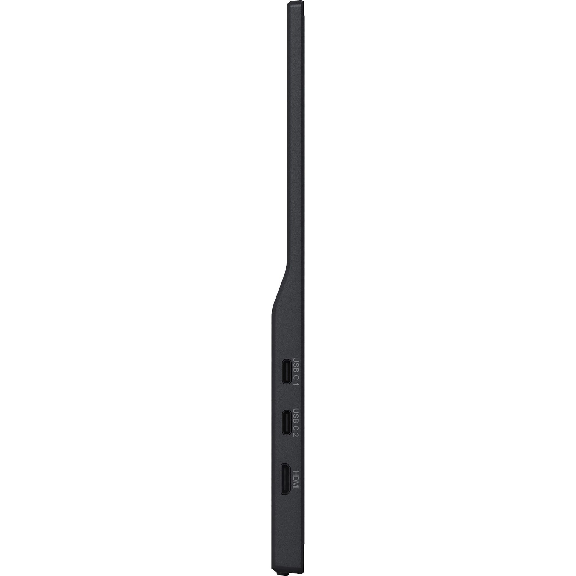 Monitor Iiyama Prolite P1671HSC-B1 15.6 (nero (opaco), mini HDMI (tipo C), 2x USB-C)