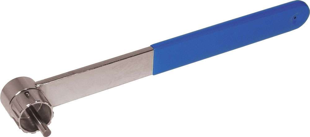 Cycplus Cycle 720056 Chiave di riduzione a ruota libera con sigillo Campagnolo