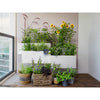 Gardena Vakantiebewatering set Aquabloom set