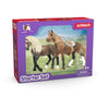 Schleich 42738 Horse Club Paso Peruano Starter Set