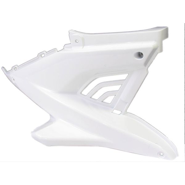 Pantalla del motor de borde Z Capucha en el Aerox derecho a BJ. 2014 White Gloss