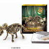 Aro dinoskelet uitbikken triceratops 23cm