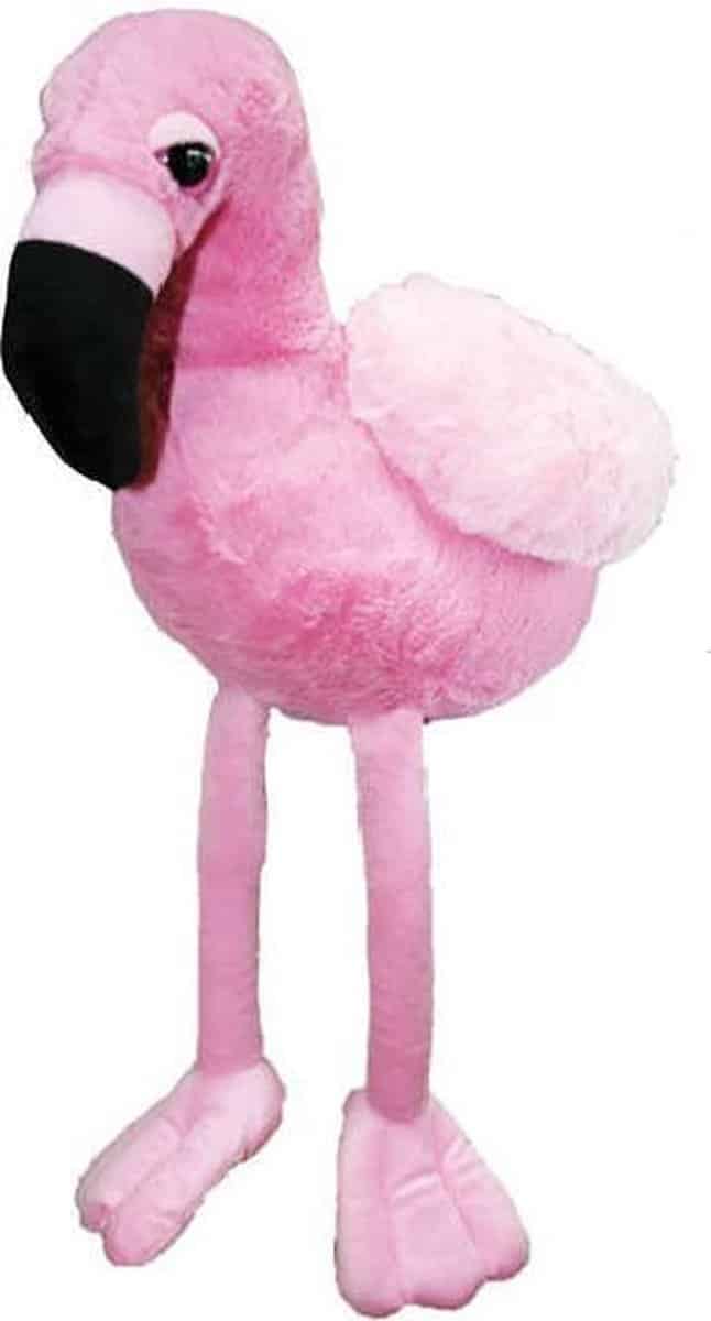 A lujos de 18 cm