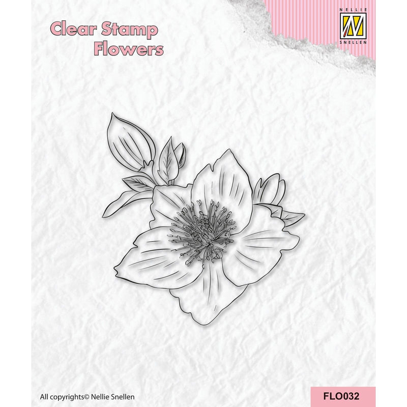 Nellie's choice • flower clear stempels helleborus