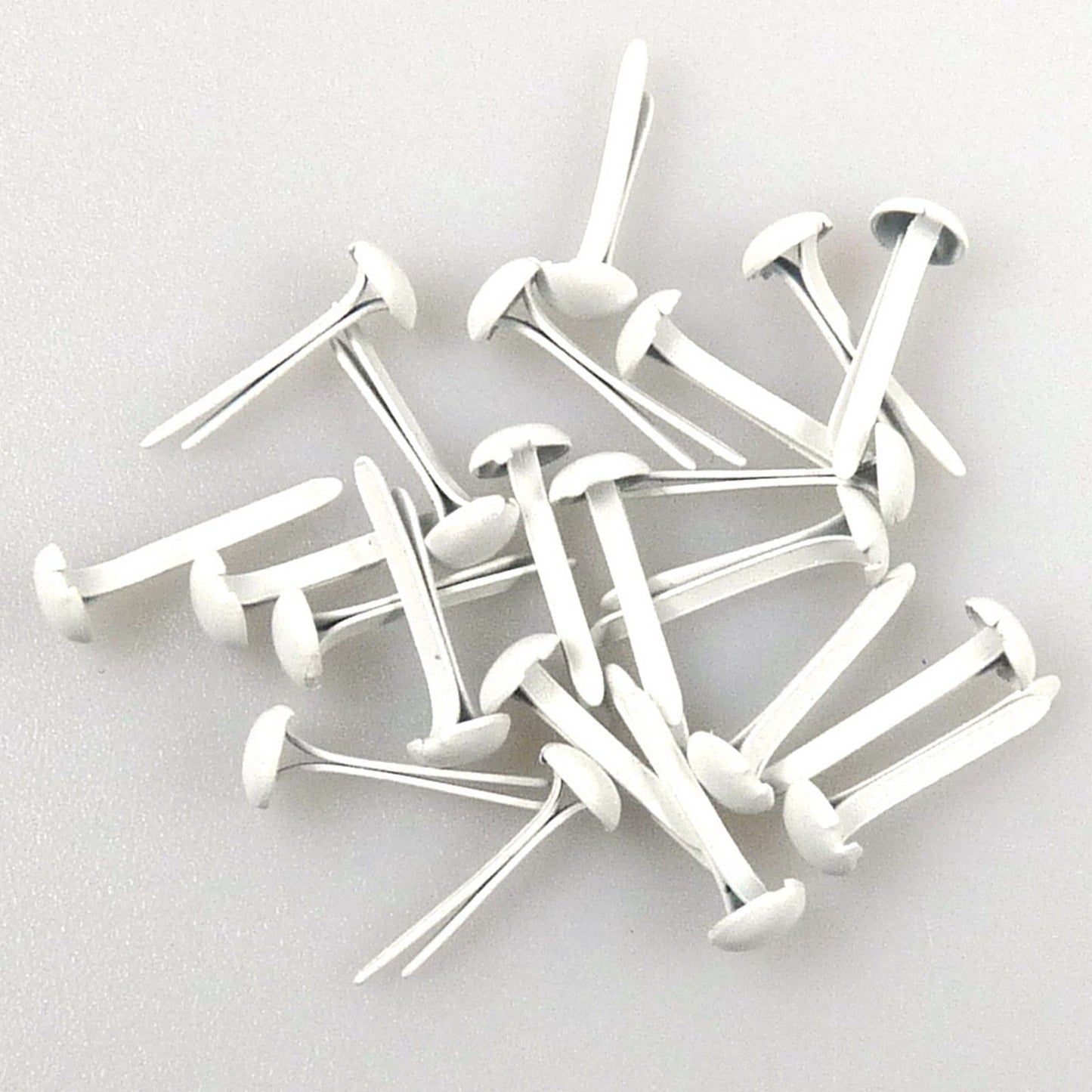 La elección de Nellie • tachuelas florales de 3 mm (paquete de 40 piezas) blanco