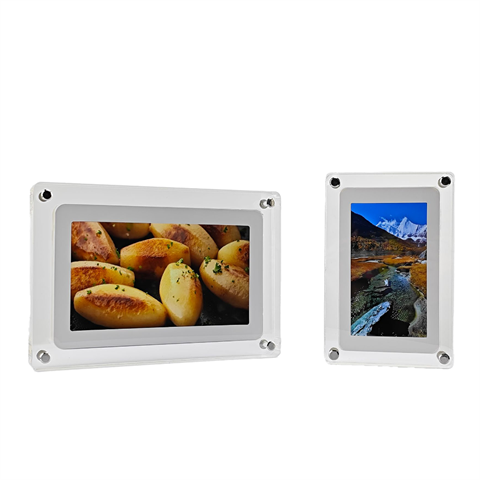 Benel Charto Digital Photo Frame HF-A101 Acrílico 10.1 pulgadas
