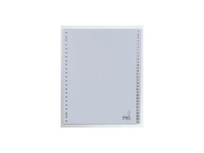 Linguette Kangaro a4 23 anelli numeri 1-31