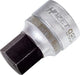Hazet dopsleutelbit 985-17 · 1 2 inch (12,5 mm) vierkant hol · binnen-zeskant-profiel · sw 17 mm