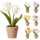 Tulpen in pot 19cm 6 assorti