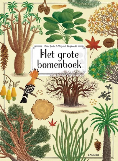 Carte orali il grande libro degli alberi
