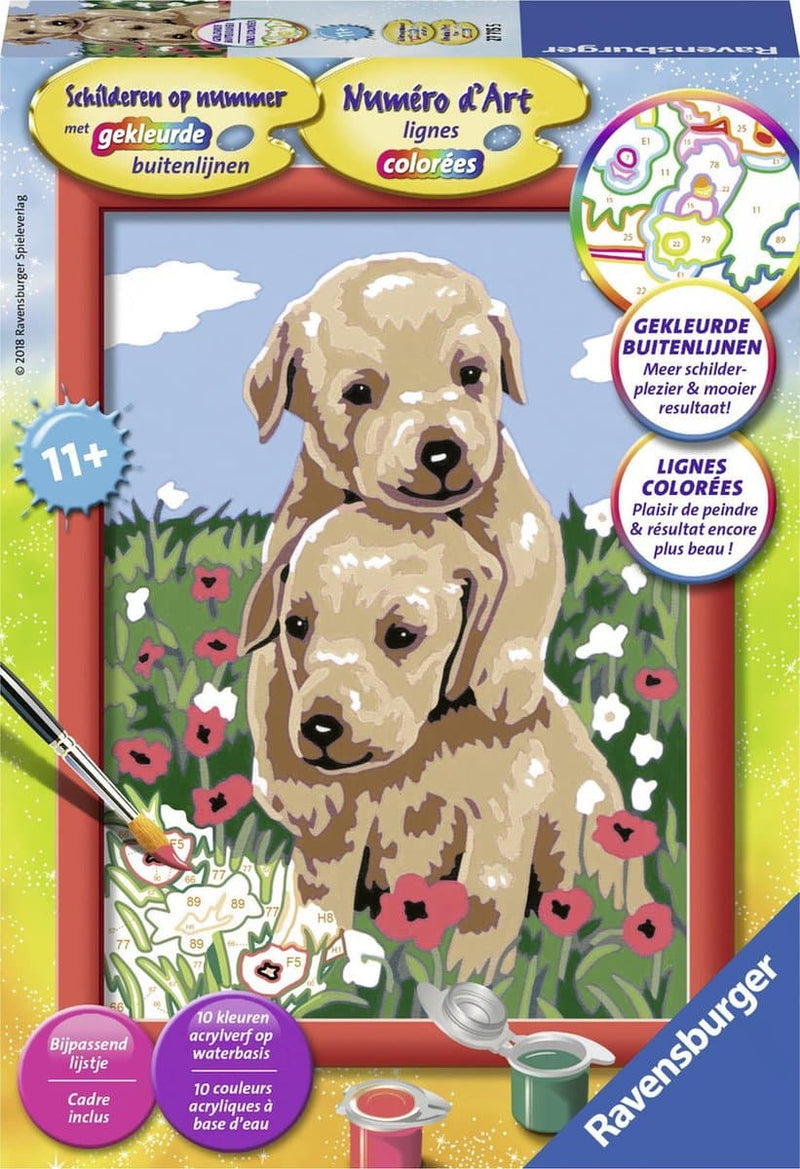 Dipinto per numero - cuccioli di coccole