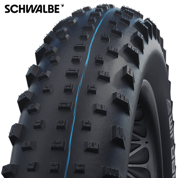 Schwalbe Tire Jumbo Jim Evol.Line 110-559