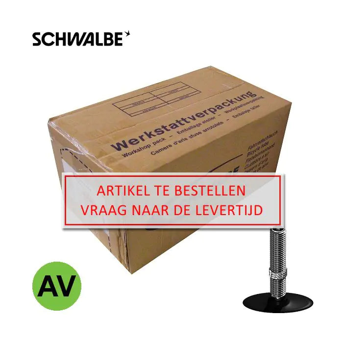 Schwalbe av13 (26x1,50-2,50) av 40 mm scatola da officina (50 pezzi) 10962140