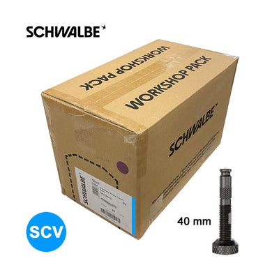 Cámara de aire Schwalbe 28 scv17