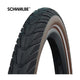 Energizer Plus 28 x 1.75 (47-622) Black Brown