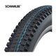 Schwalbe Tire Rick XC EVO 29 x 2.25 SW Folding TLR
